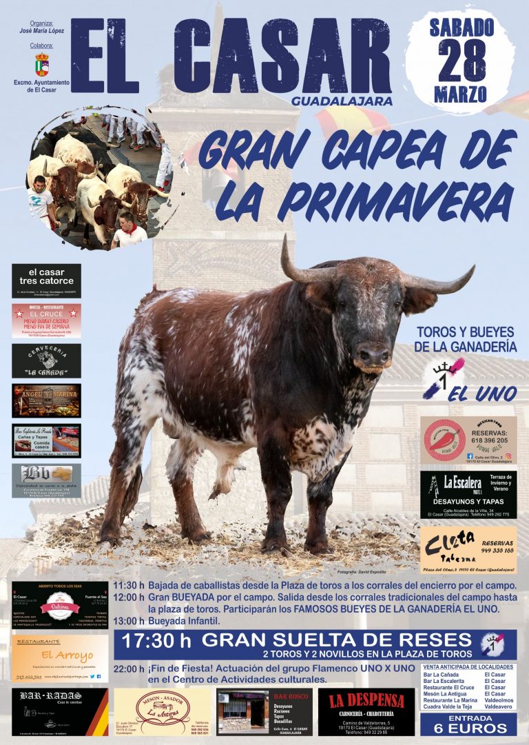 Gran Capea de Primavera El Casar (Guadalajara) Ganadería El Uno